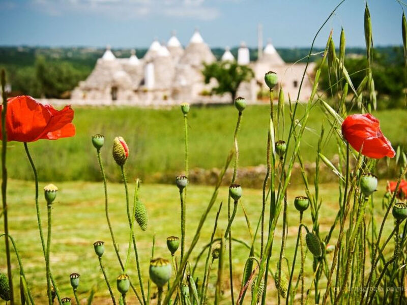 Kirschbaum Trullo, Entspannung und Essen und Wein