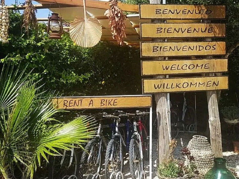 Wohnung
