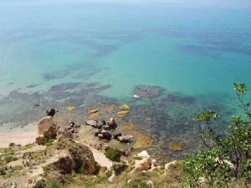 Tulipano