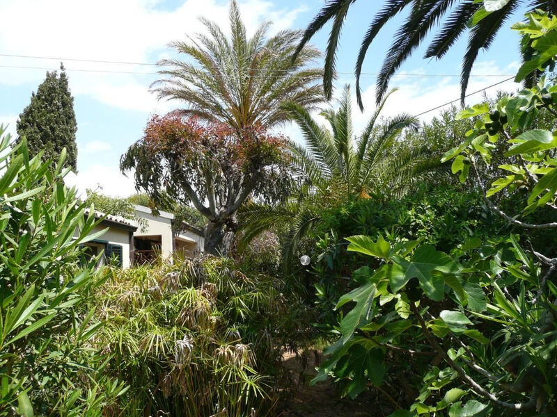 Schöner zentraler Bungalow direkt am Sandstrand auf Sizilien