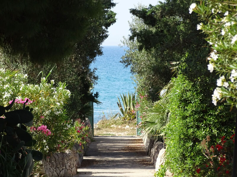 Kleines ruhiges Ferienhaus direkt am Meer