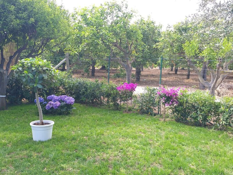 'Federica'