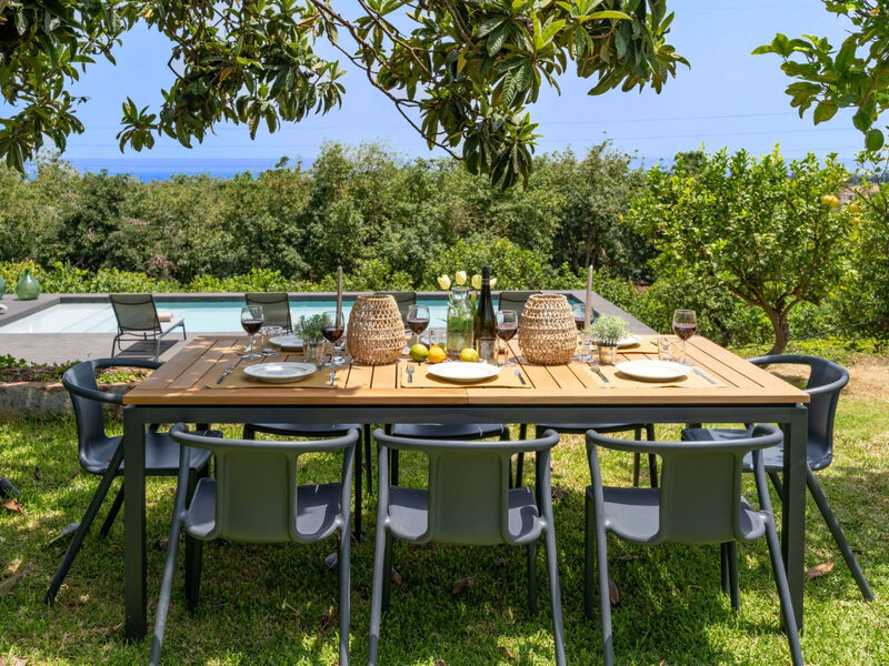 Avocado Garten