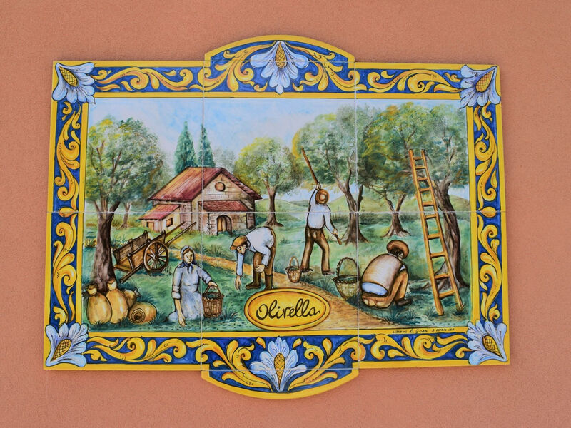 Olivella