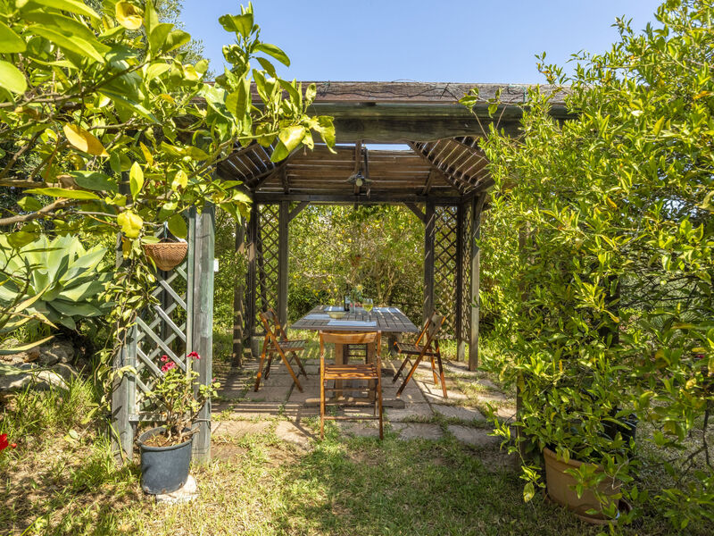 Residence Cicladi