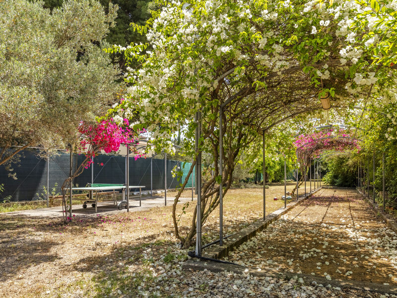Residence Cicladi