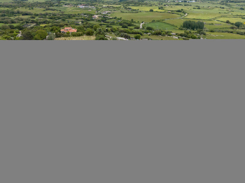 Sos Candhaleris