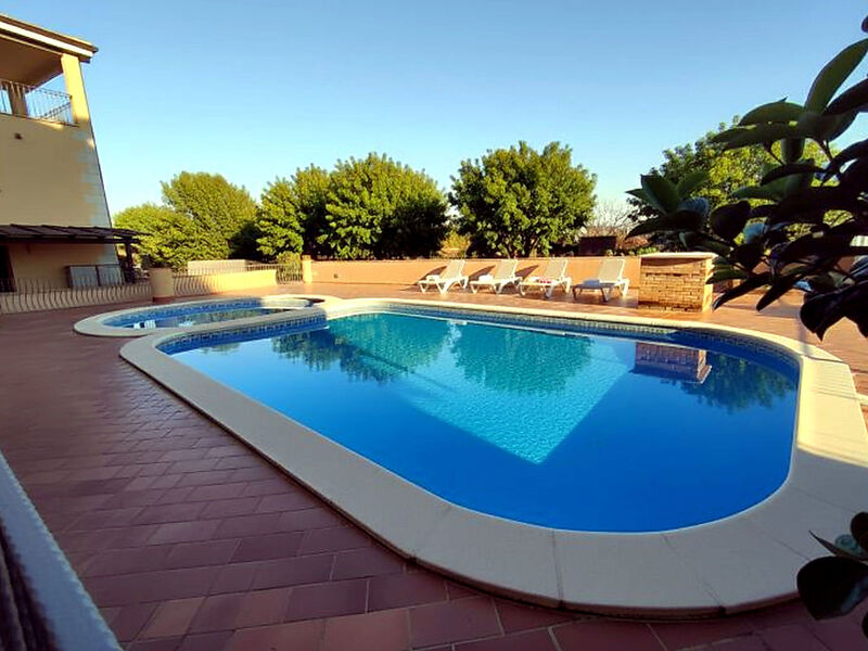 Pellicano Azzurro