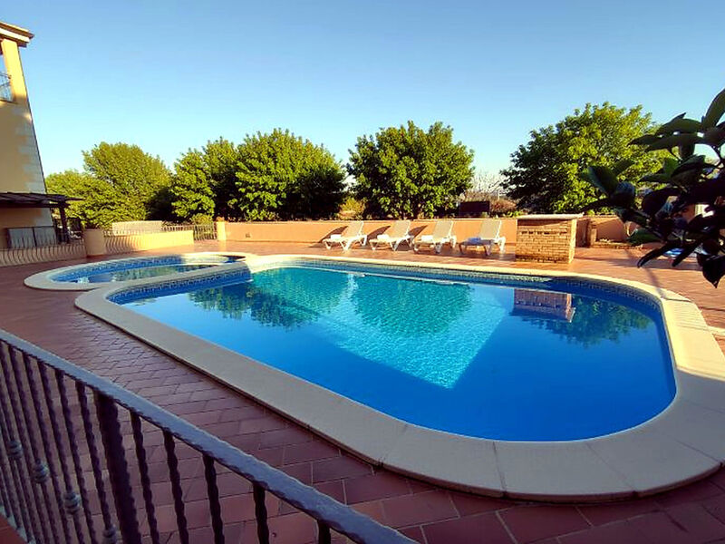 Pellicano Azzurro