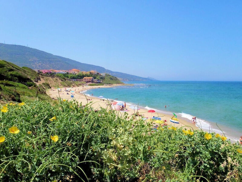 Solevacanze M plus