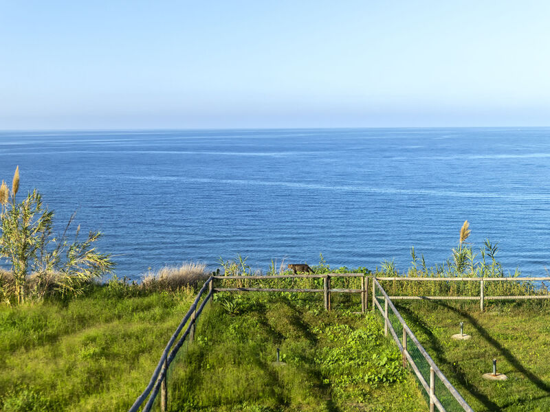 Onda perfetta