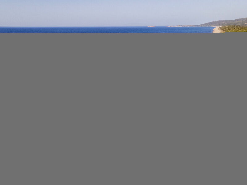 Happy Island