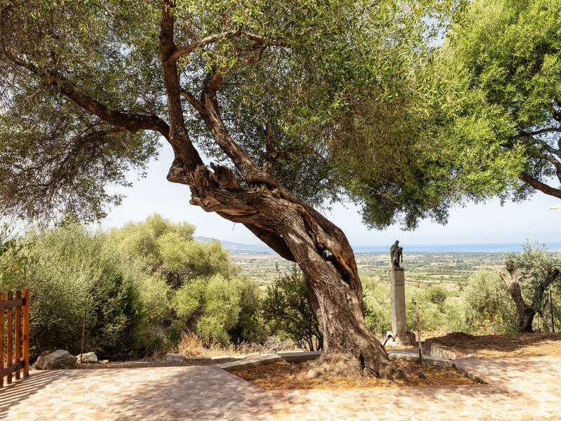 Il Belvedere di Maria Luisa