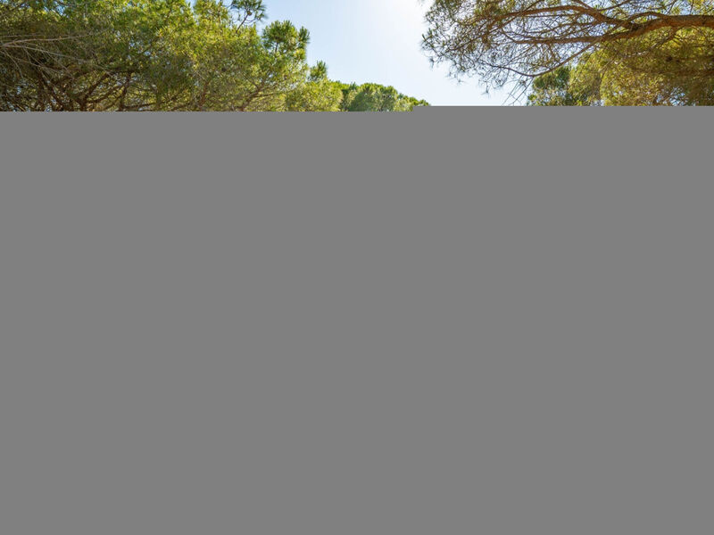 Camping Baia Paradiso