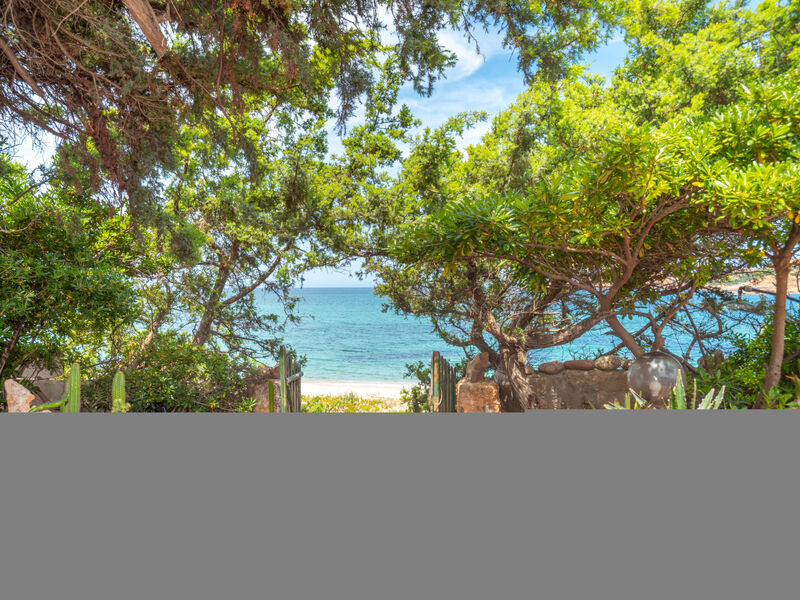 Gerania