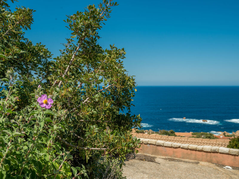 Vila Ilaria