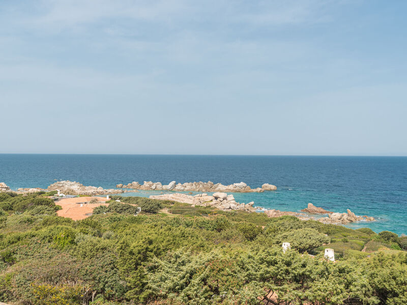 Malvasia