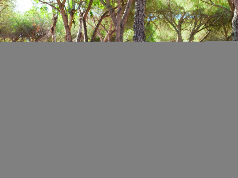 Camping Baia Blu - La Tortuga