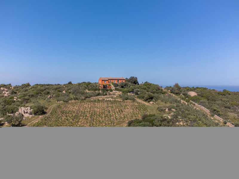 Casa Rita