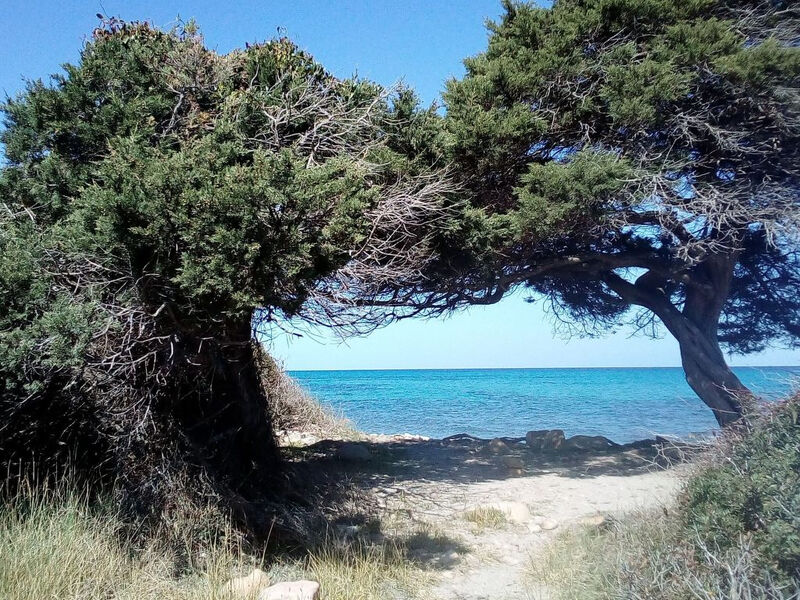 Janna e Mare