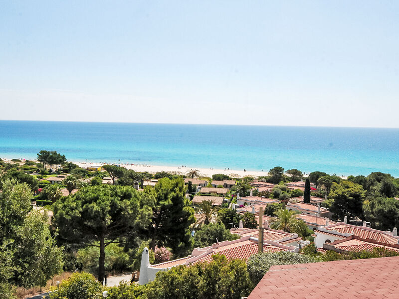 Belvedere