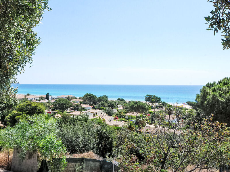 Belvedere