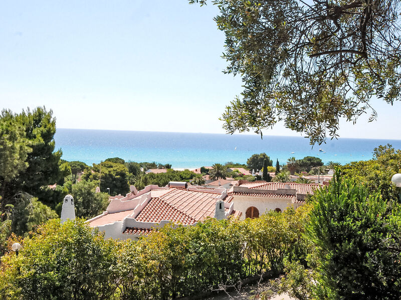Belvedere