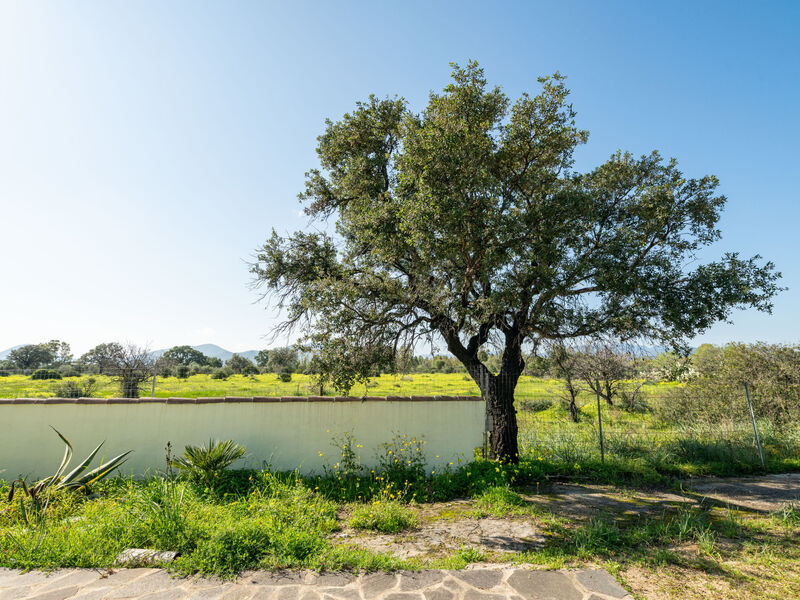 Sa Frontera