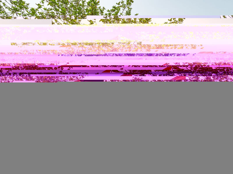 Pintada