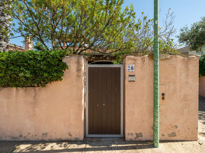 Le palme