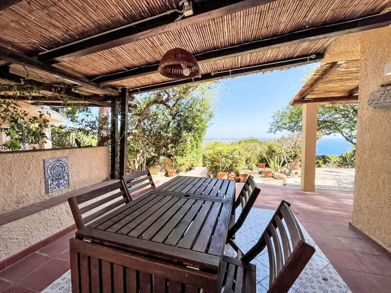 Pellicano