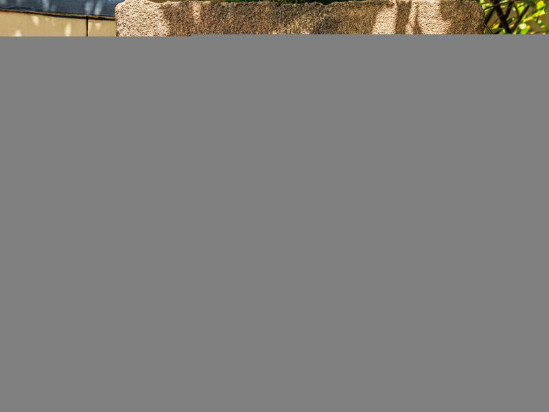 Casa Darc