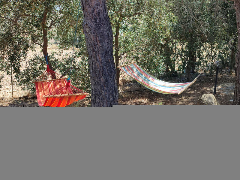 Relax