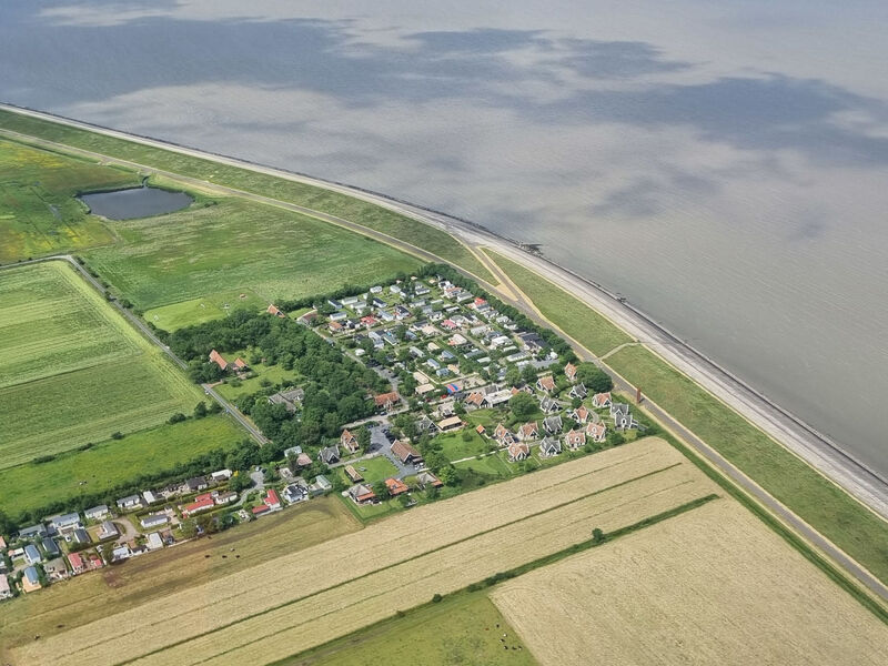 Wiringherlant