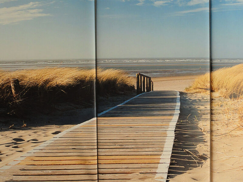 De Zeester