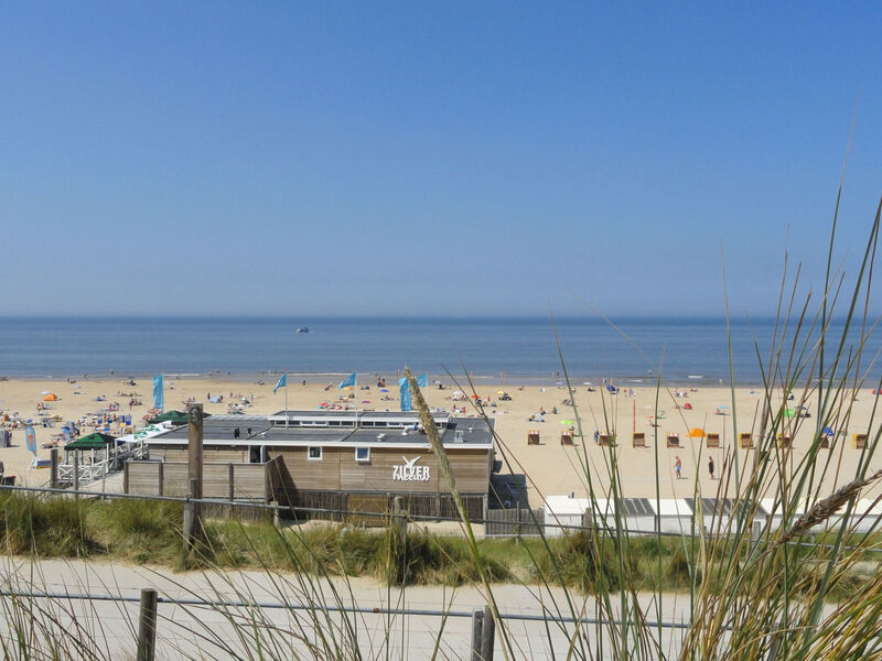 De Zeester