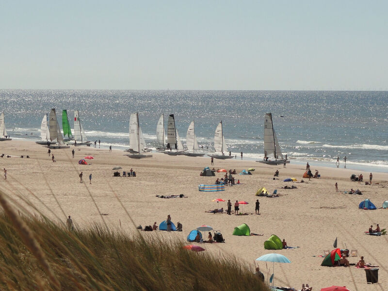 De Zeester