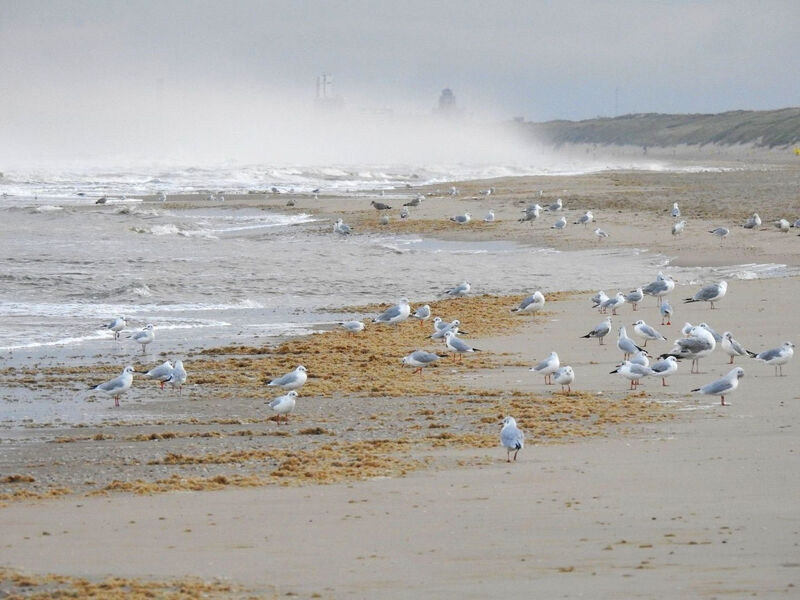 BeachPlace