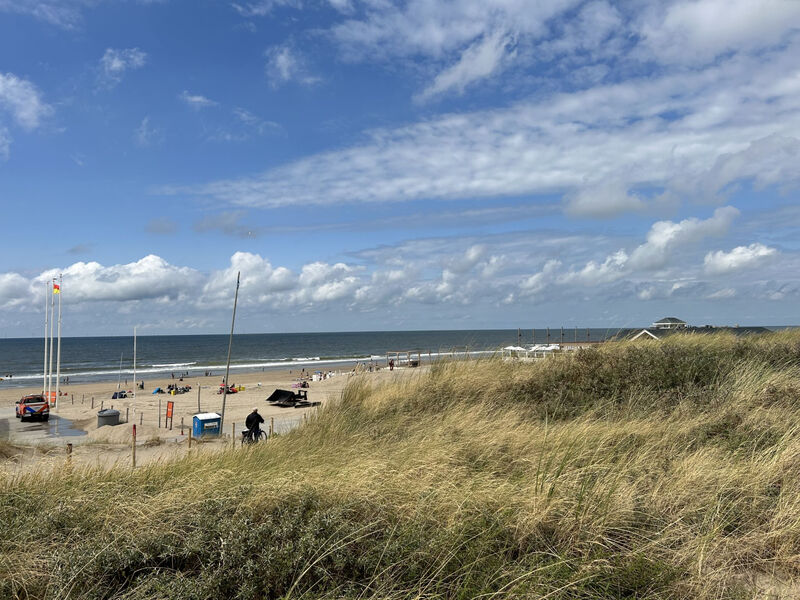 De Witte Raaf