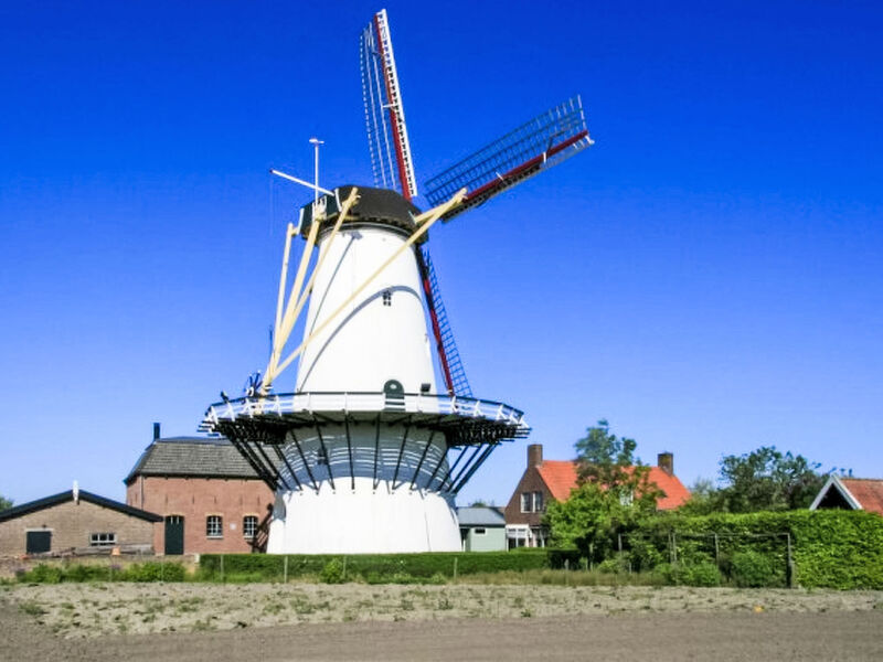Moesbosch