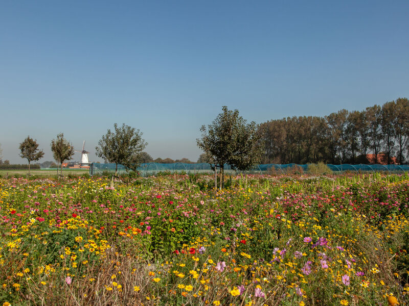 'T Bloemenhof Koudekerke
