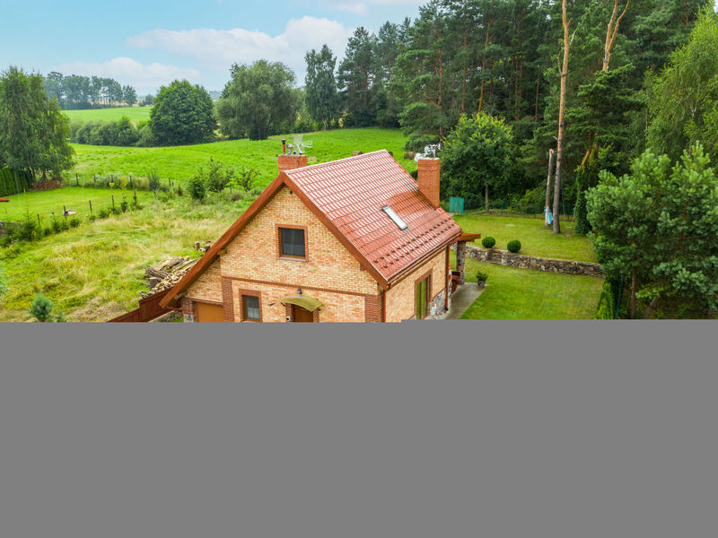 Jędrzejki