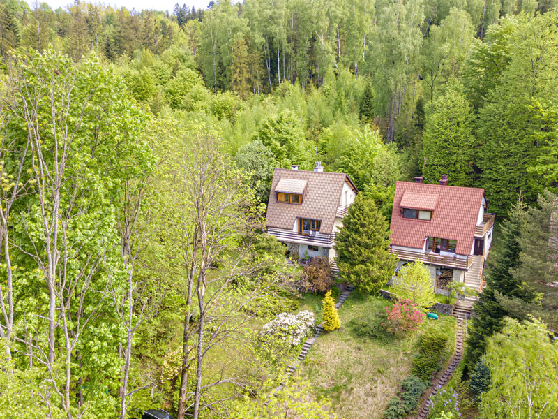 Partecznik