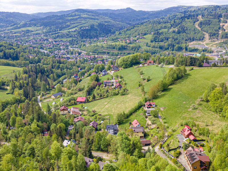 Partecznik