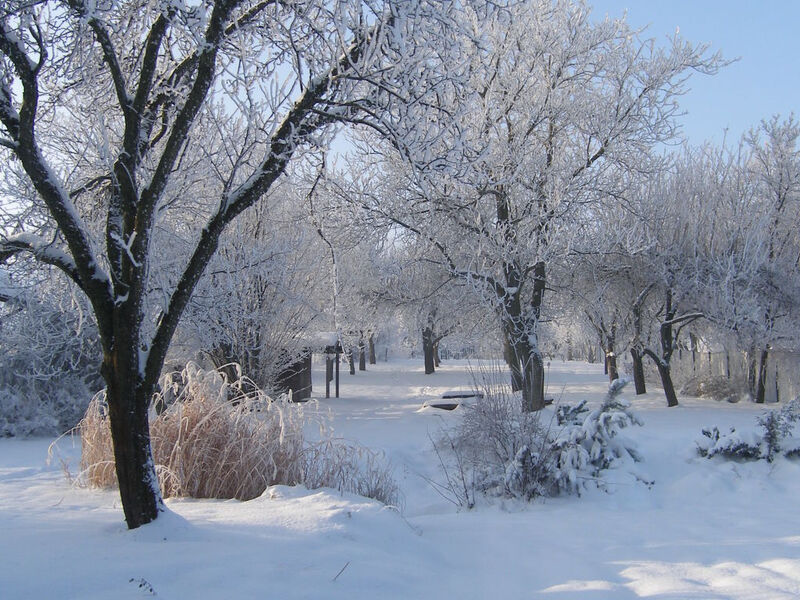 Pękowice