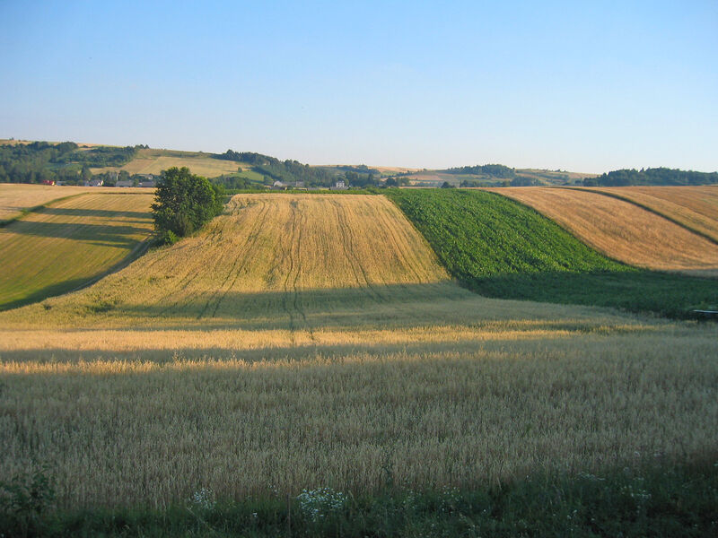 Jura Dla Ciebie