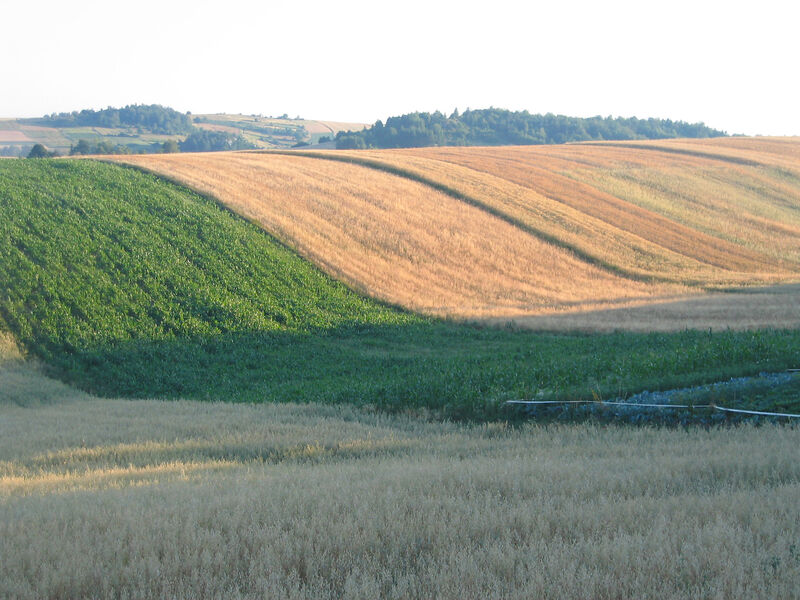 Moja Mała Toskania