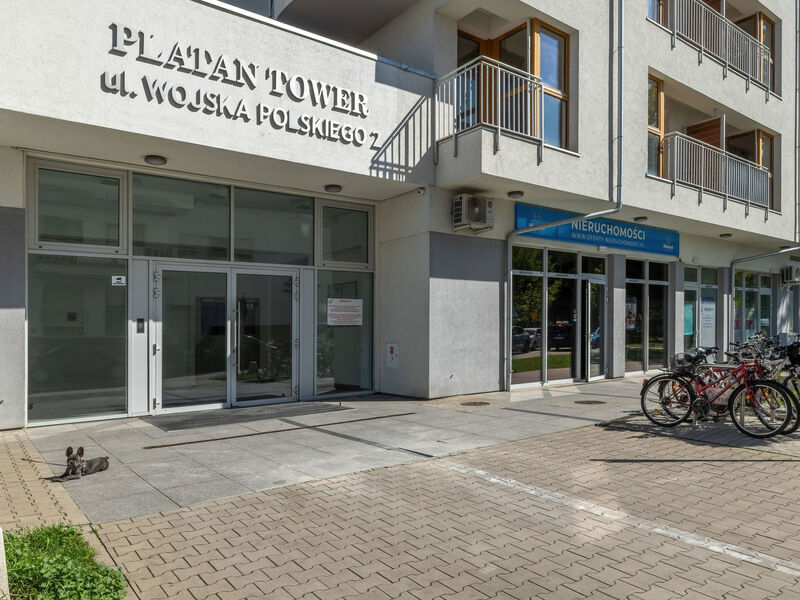 Platan Tower 113
