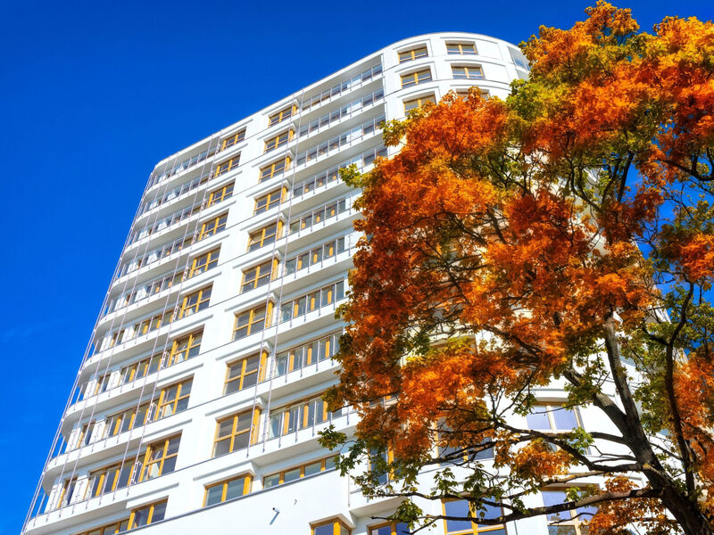 Luxuriös eingerichtete,helle Ferienwohnung am Meer