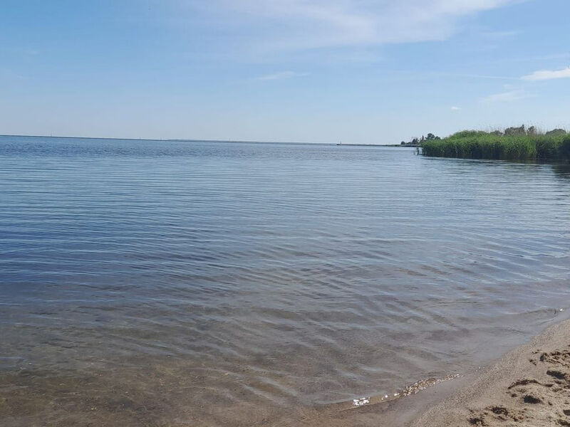 auf einer Insel